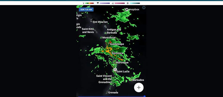 Still hoping for the best